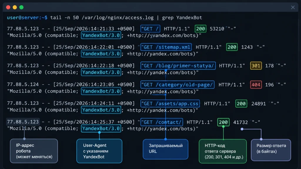 Запросы YandexBot и HTTP-коды в access-логе сервера